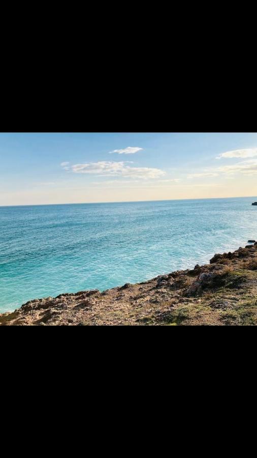 Grand Studio Bord De Mer Plus Piscine Сет Екстер'єр фото